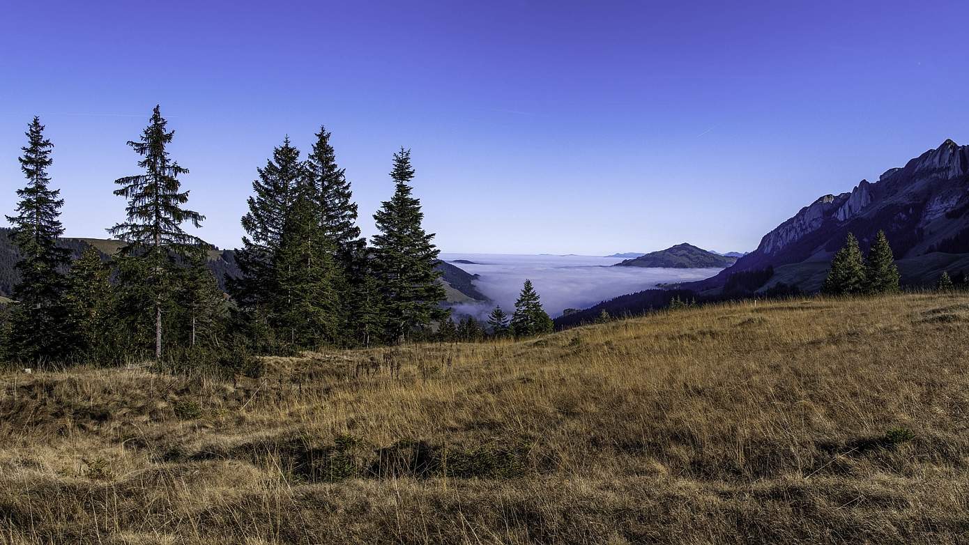 November im Alpstein