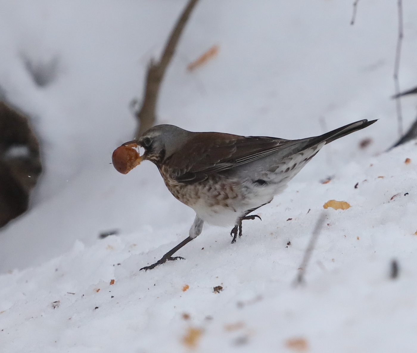 Mit der Produktion von