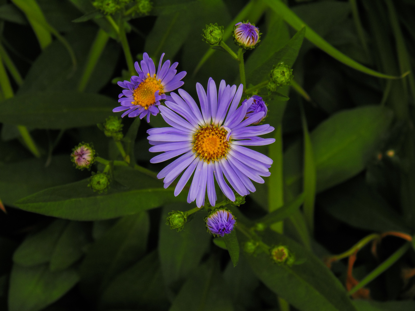 Erinnerungen an den Sommer