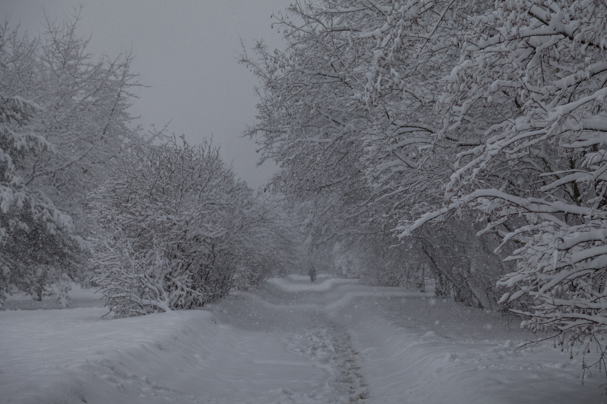 und der Schnee geht ...