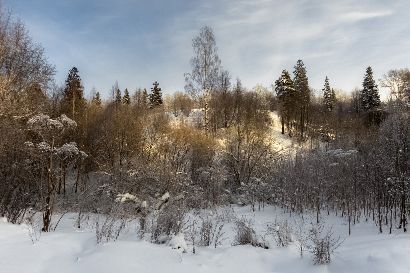 Die Dezember-Nachmittag