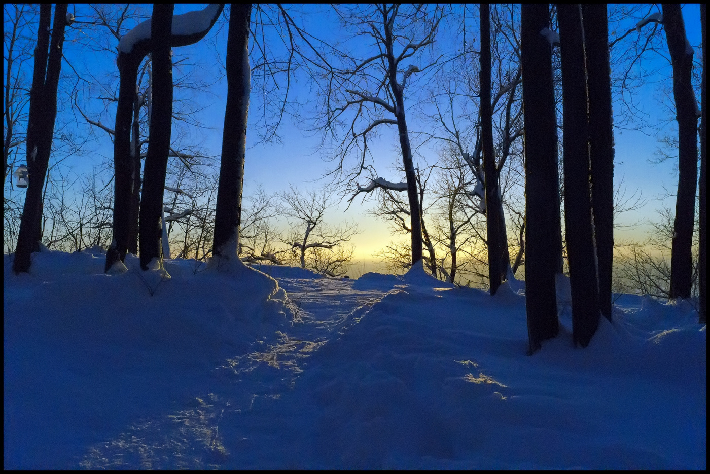 Sonnenaufgang im Wald