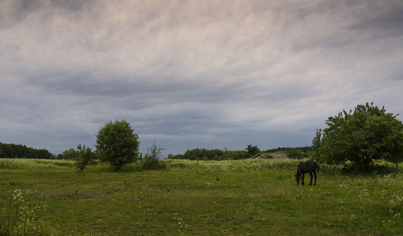 Landschaft im ländlichen Raum