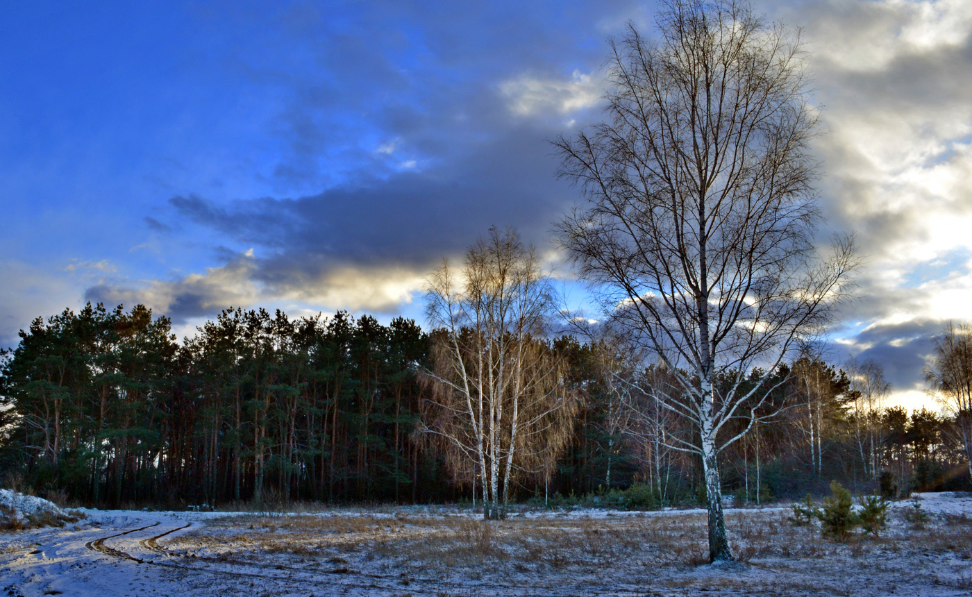 Sonnenuntergang im Winter