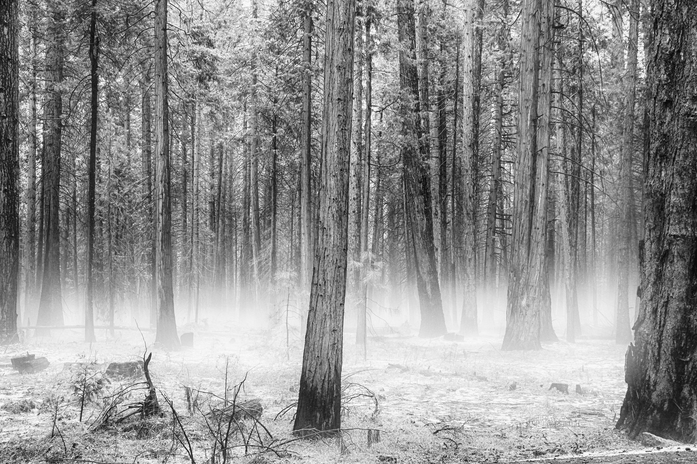 Der Geruch des Herbstes