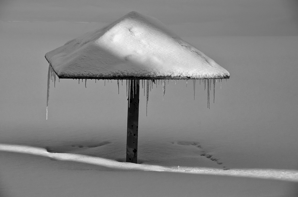 Und in unserem Hof ​​...