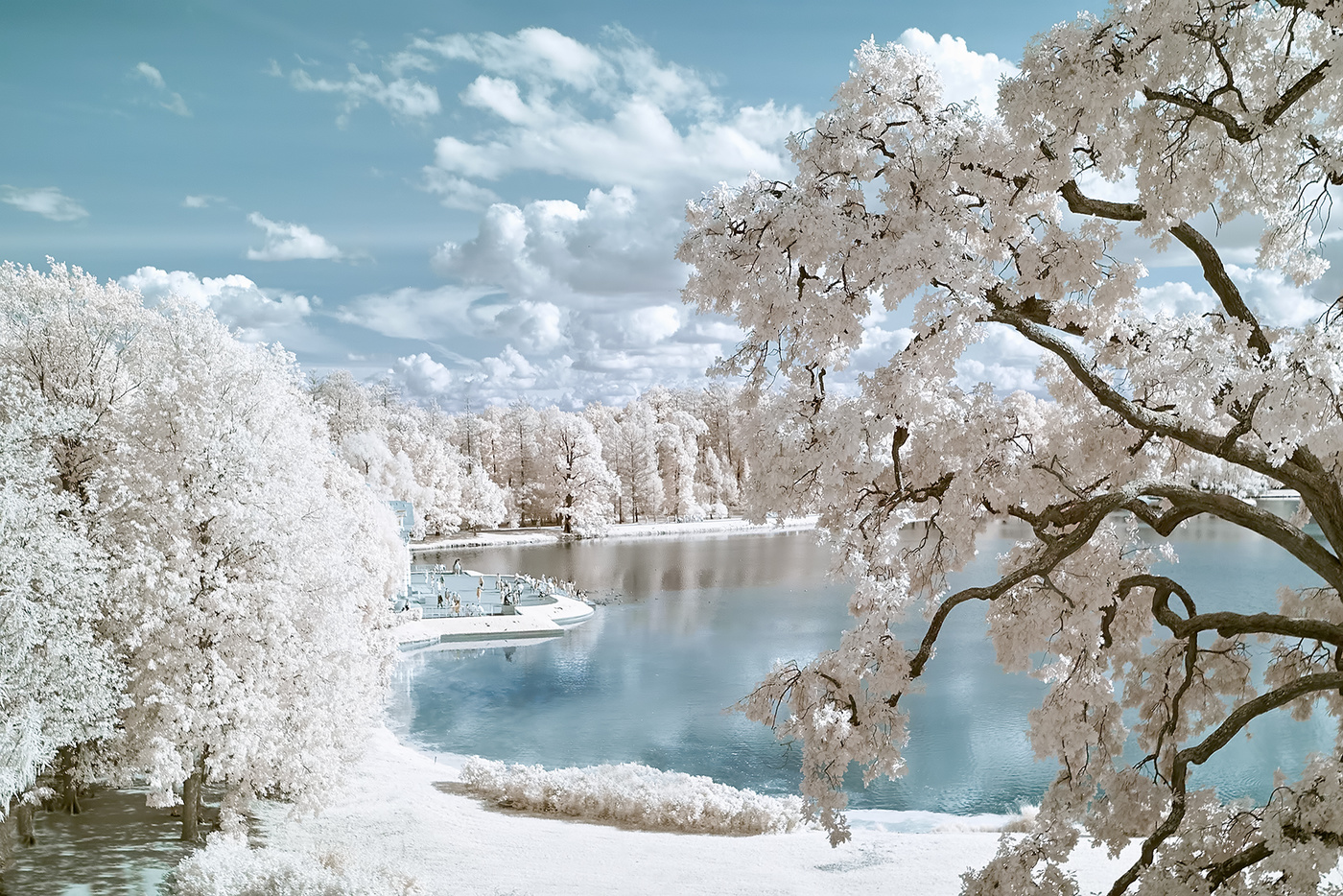 Pushkin infrared