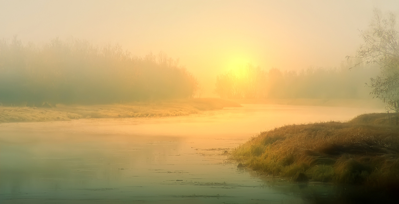 Nebligen Morgen ...