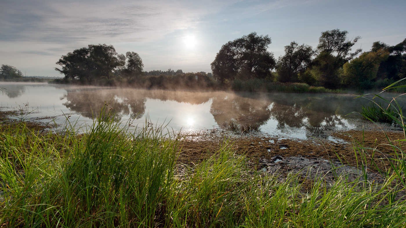Morgen auf dem Fluss