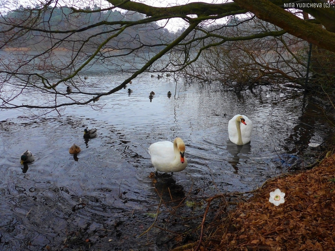 Premonition des Frühlings