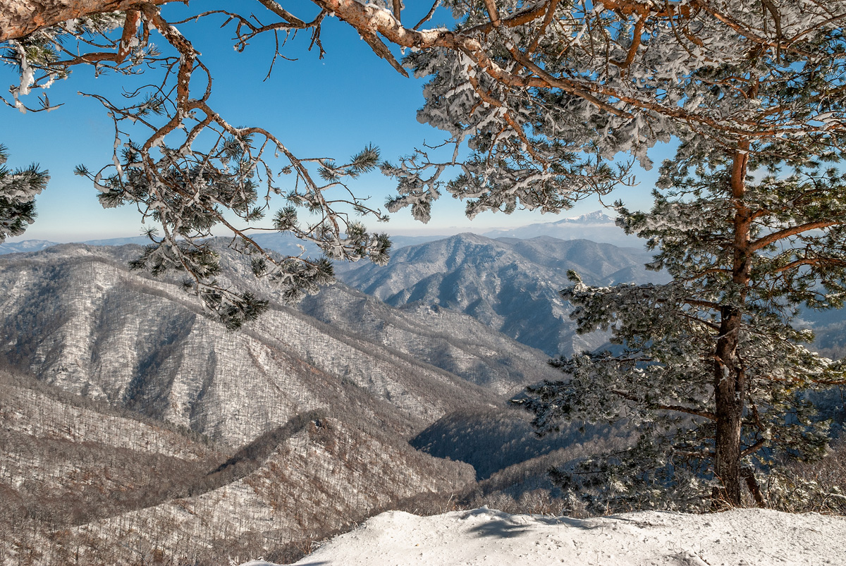 Am Lago-Naki Hochebene