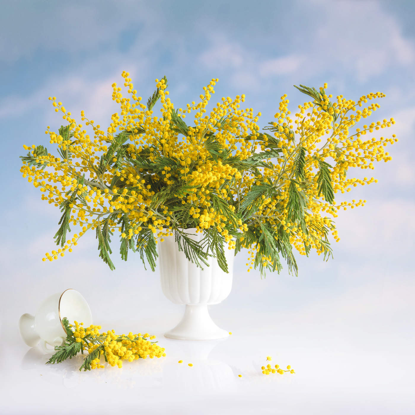 Der Frühling kommt ...