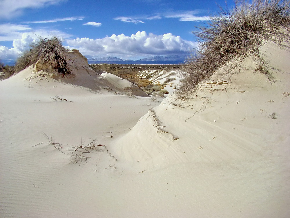 White Sands