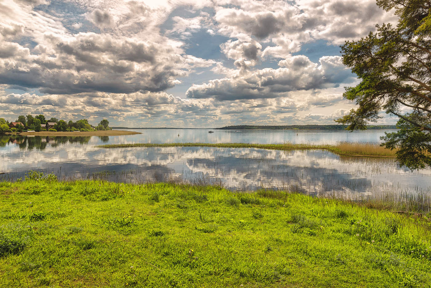 Native Freiflächen.