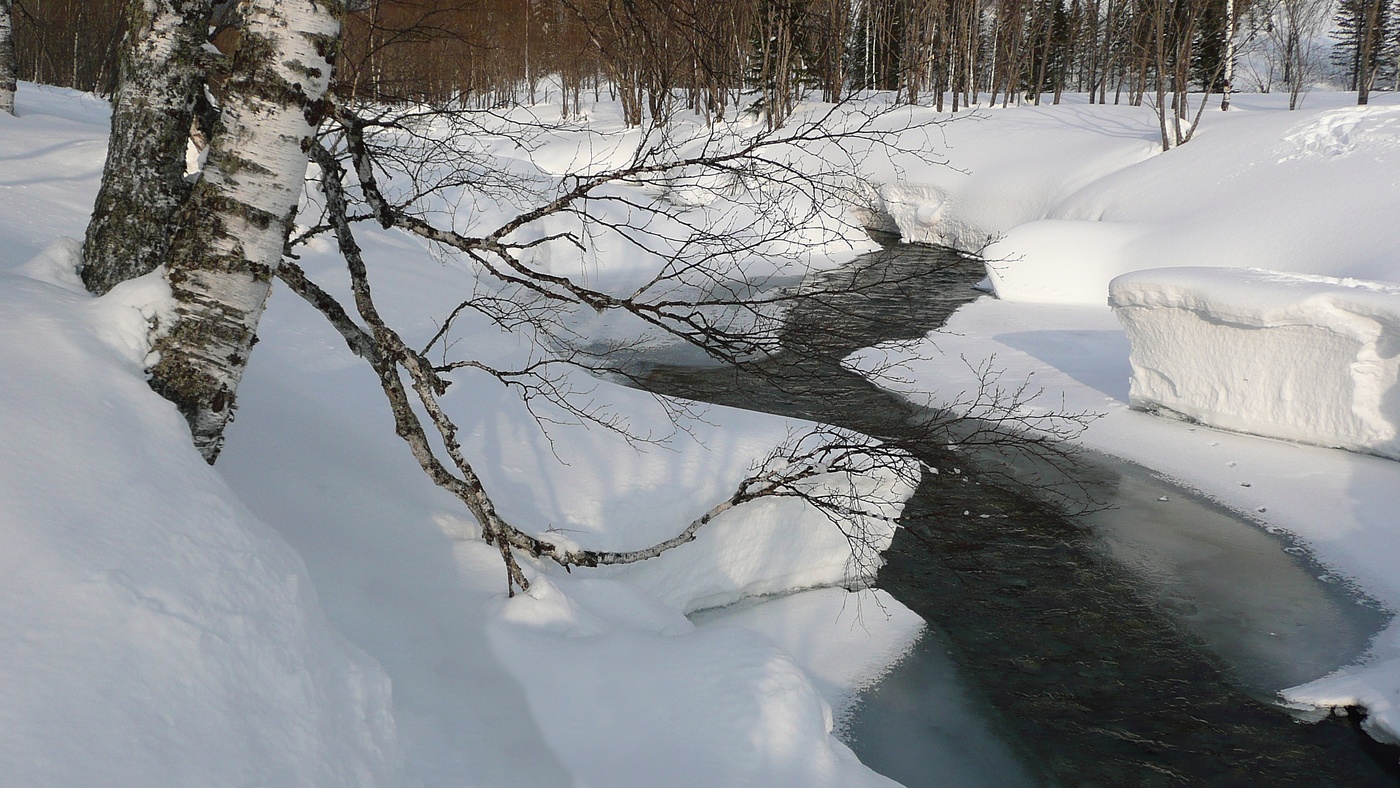 Der Frühling ist gekommen