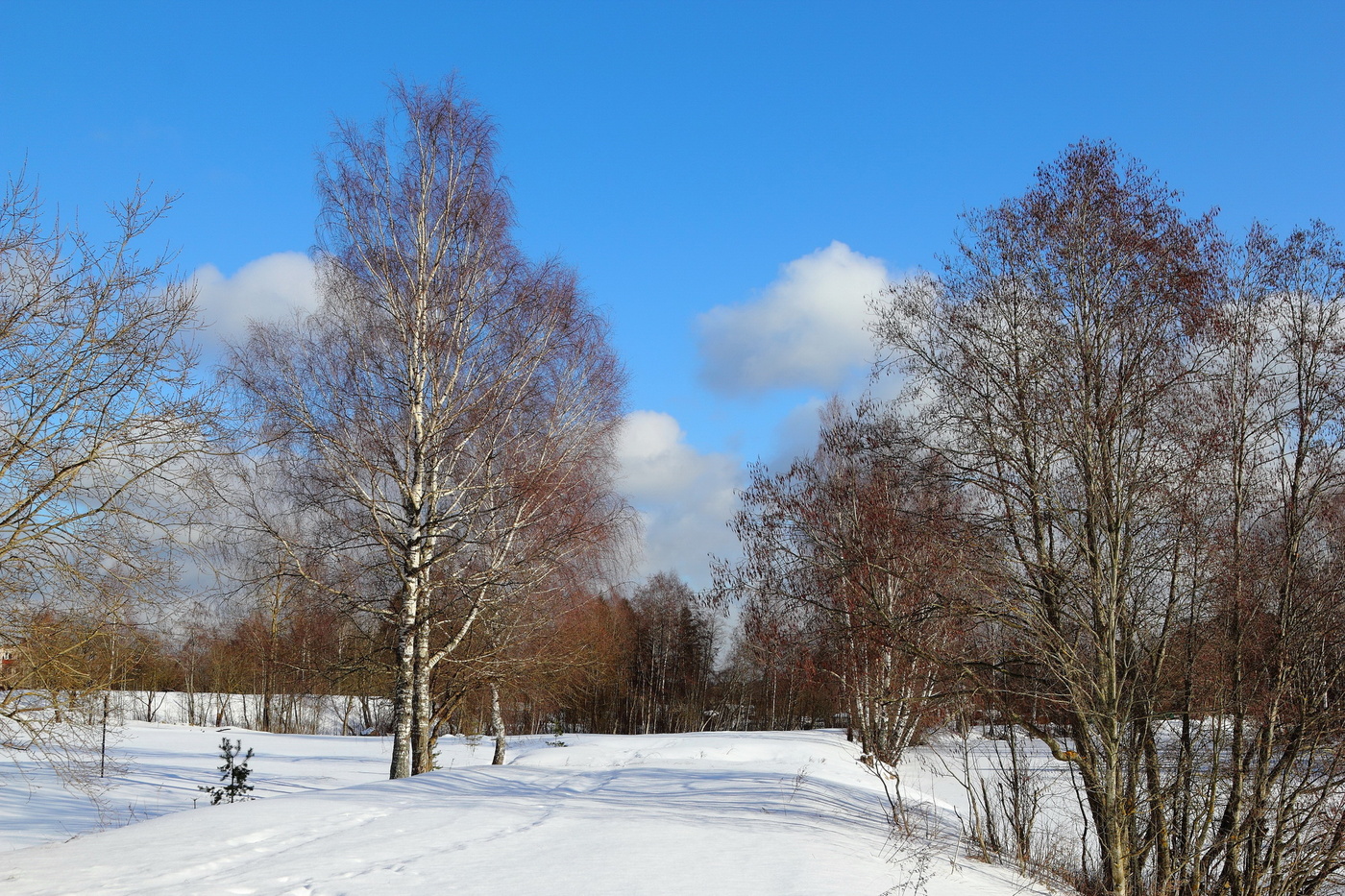 Warten auf den Frühling