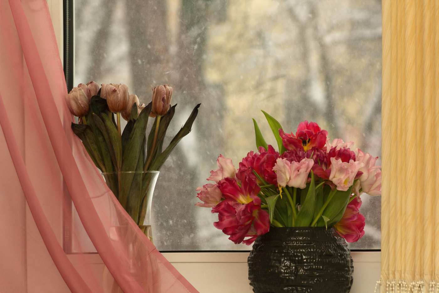 Blumen im Fenster