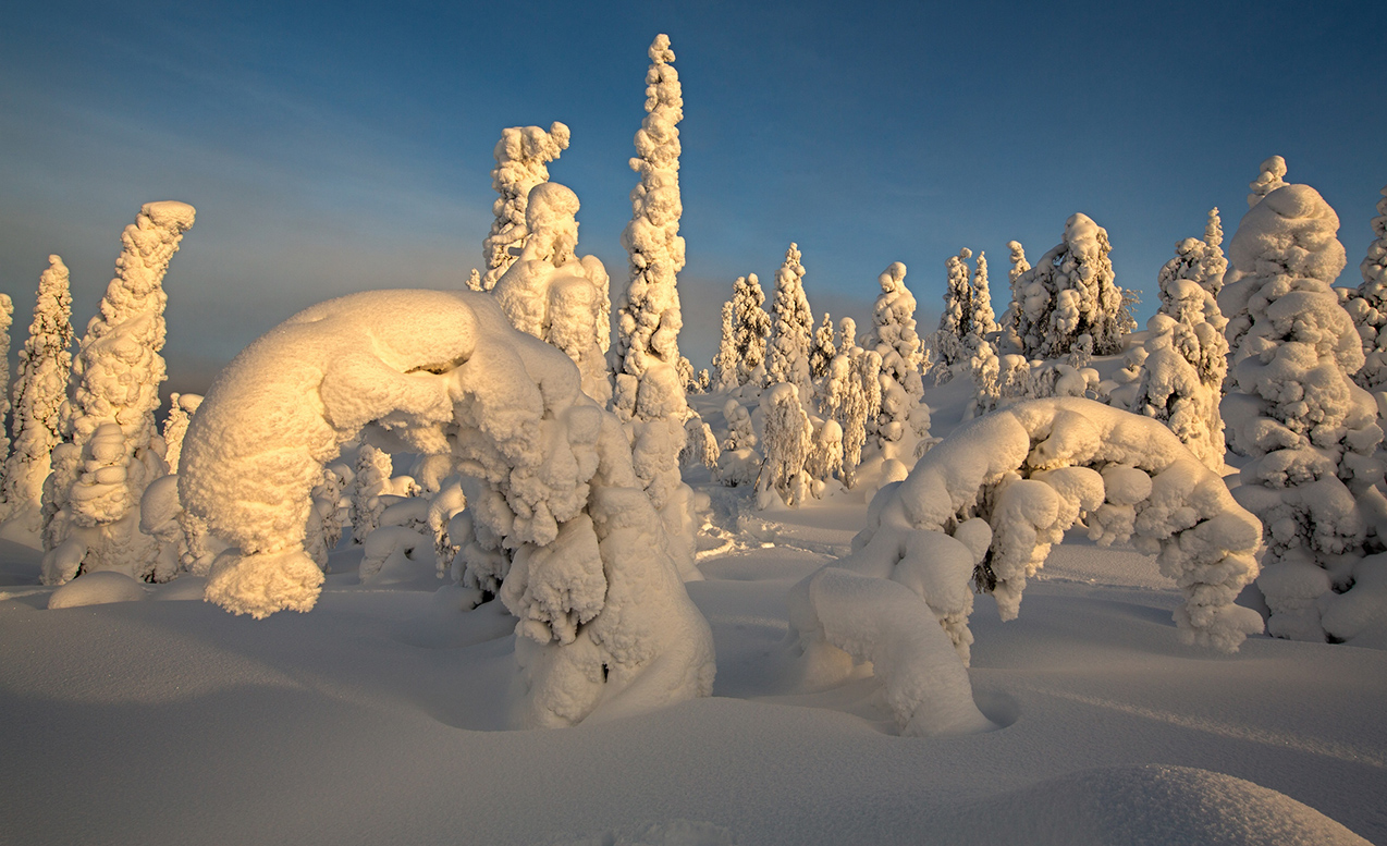 Wie in einem Märchen