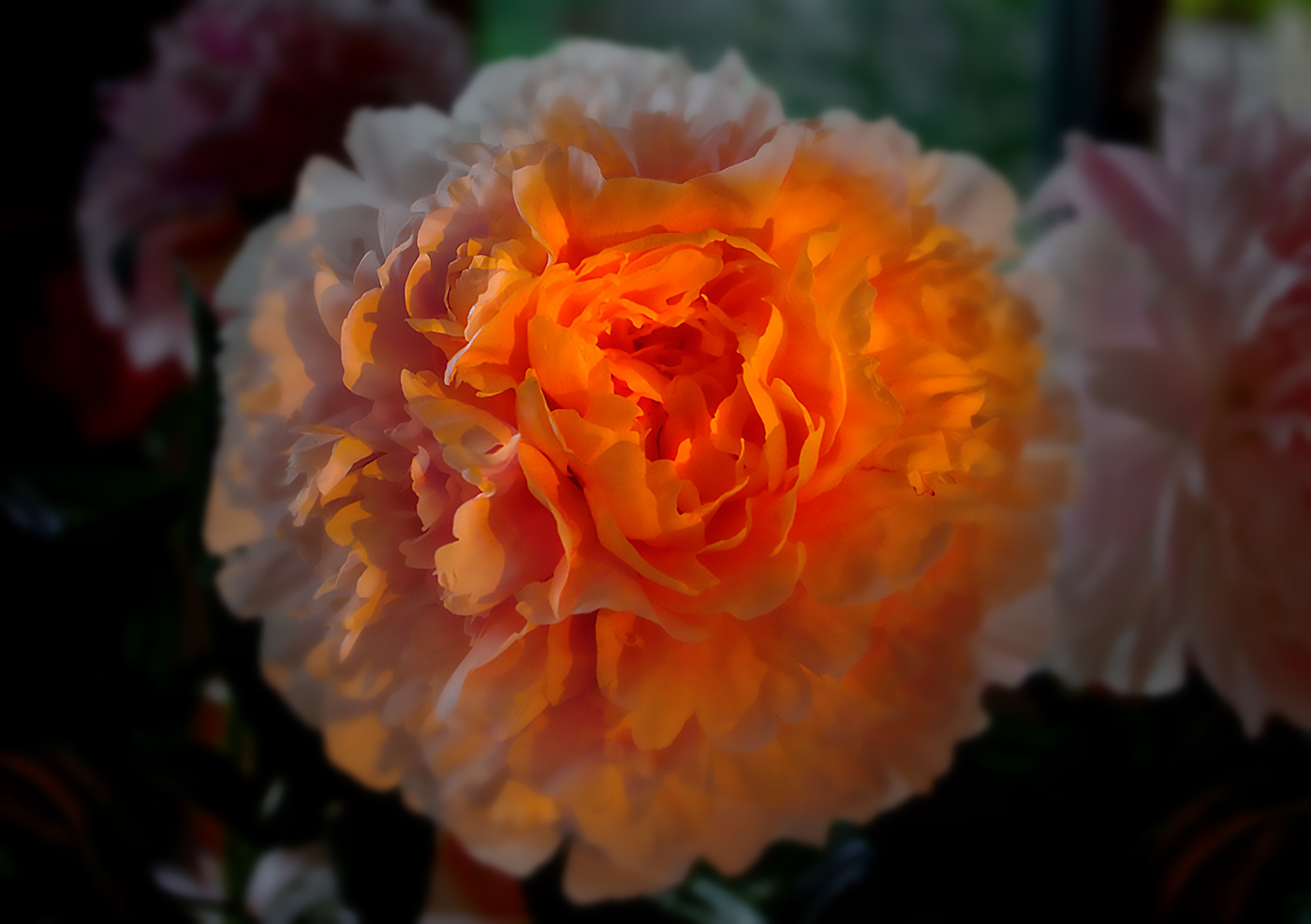 In den letzten Strahlen