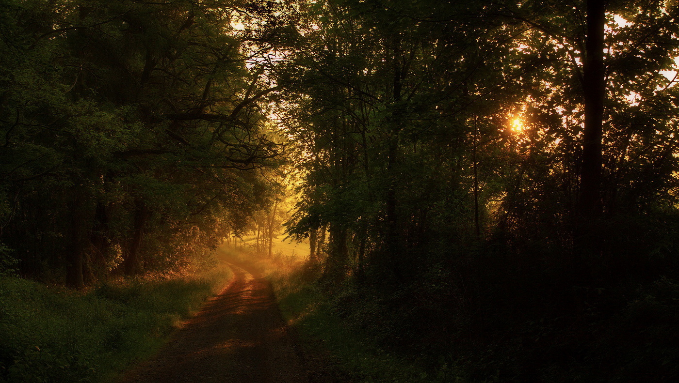 Um die Sonne entgegen