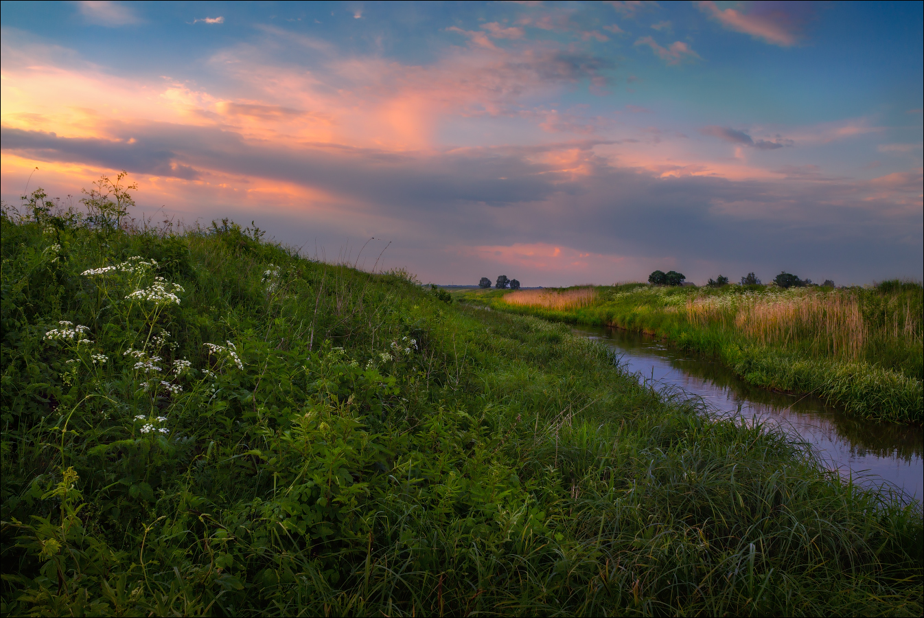 nach dem Sommer regen