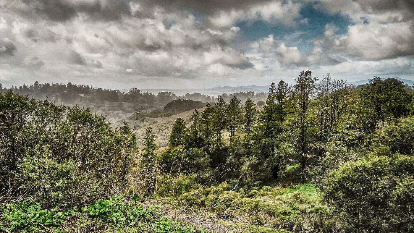 Landschaft mit Hügeln