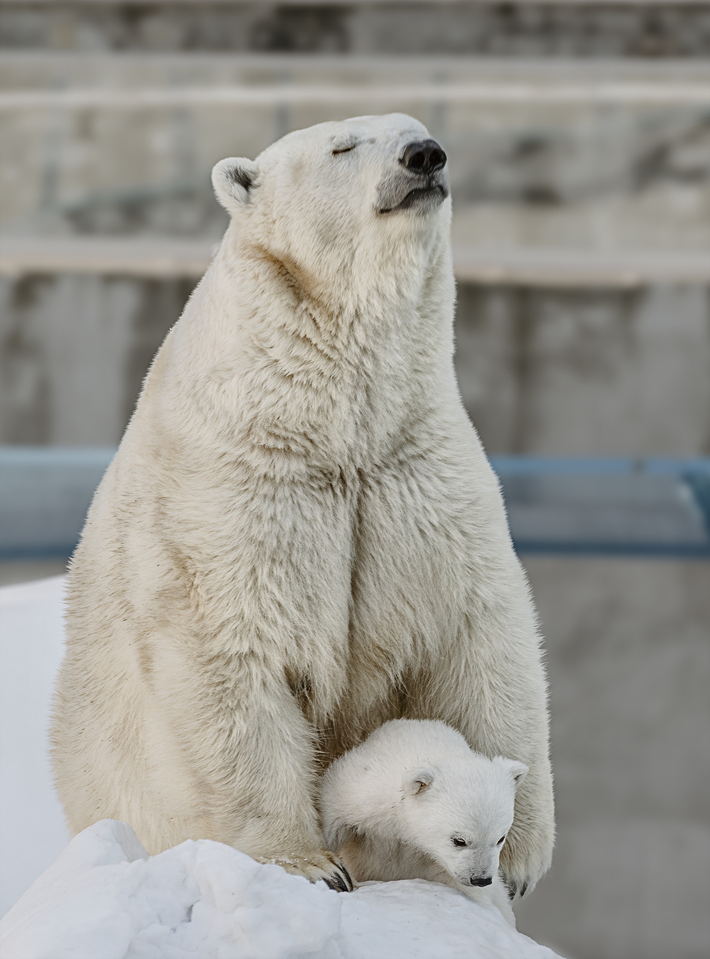 Unter dem Schutz der