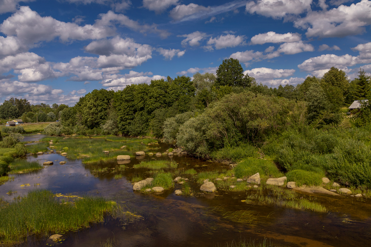 in diesem Sommer ...