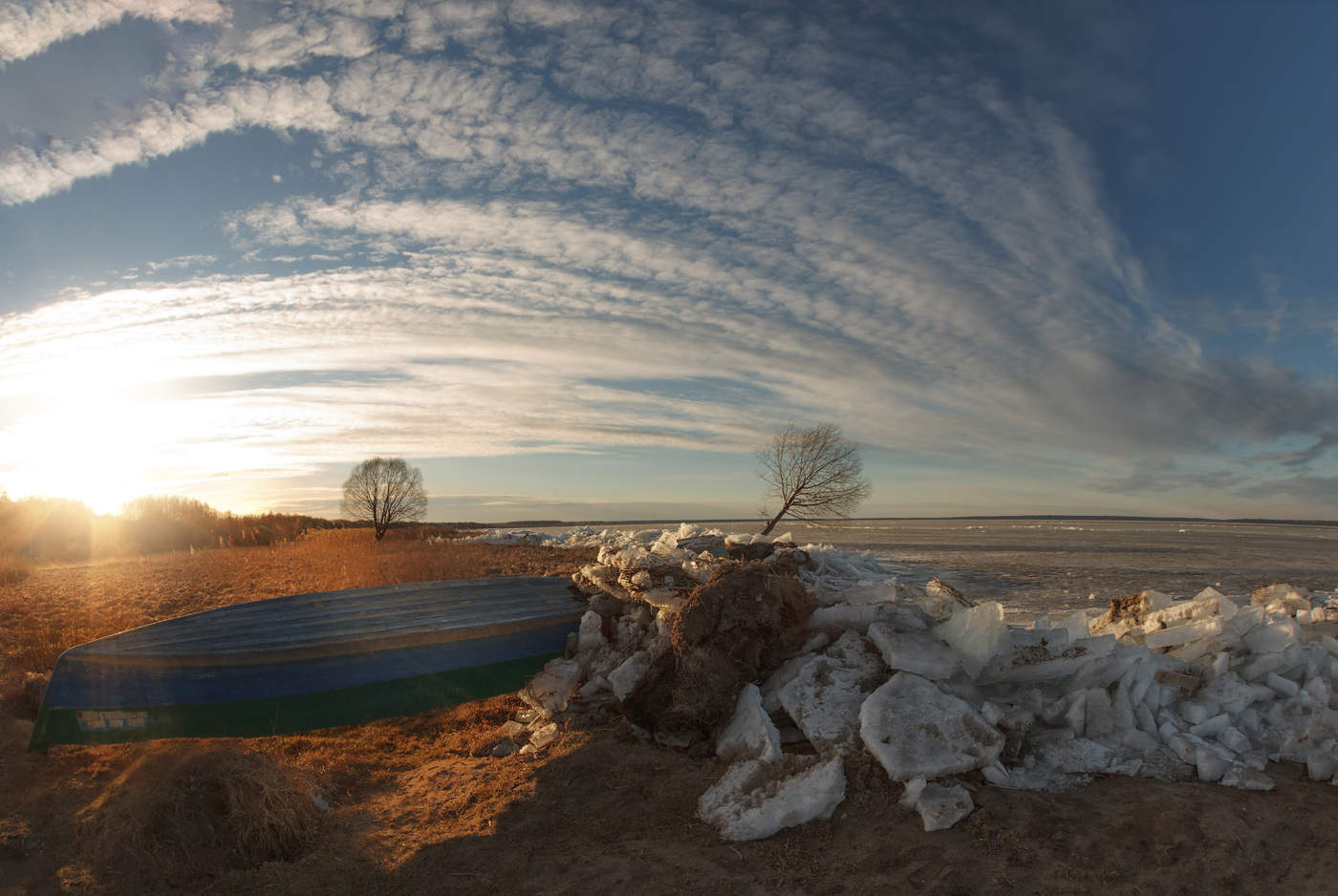 Der Frühling kommt!