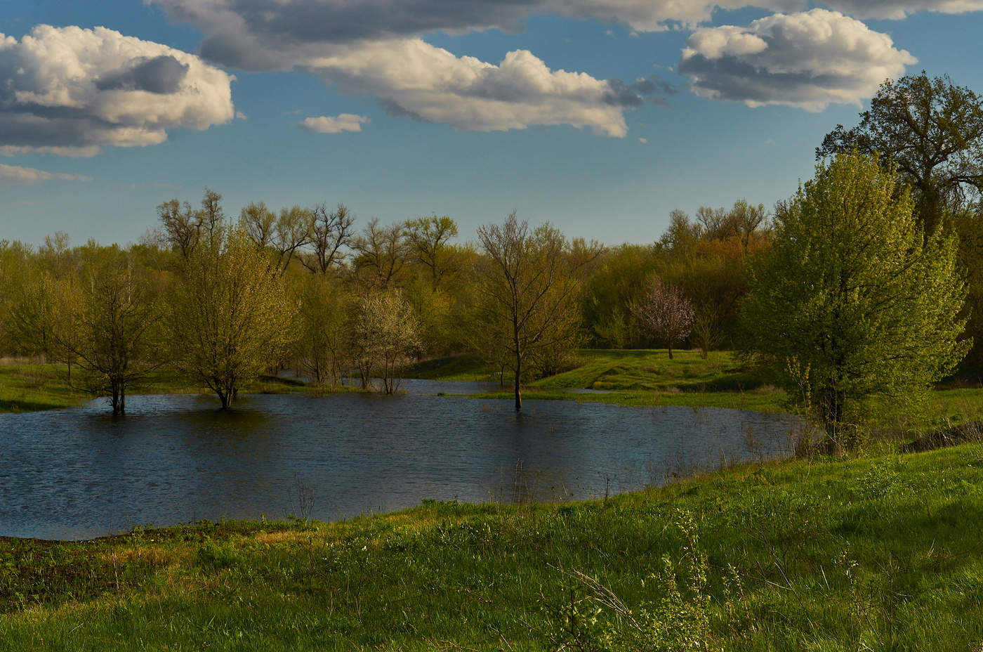 Die Möglichkeit des Austritts