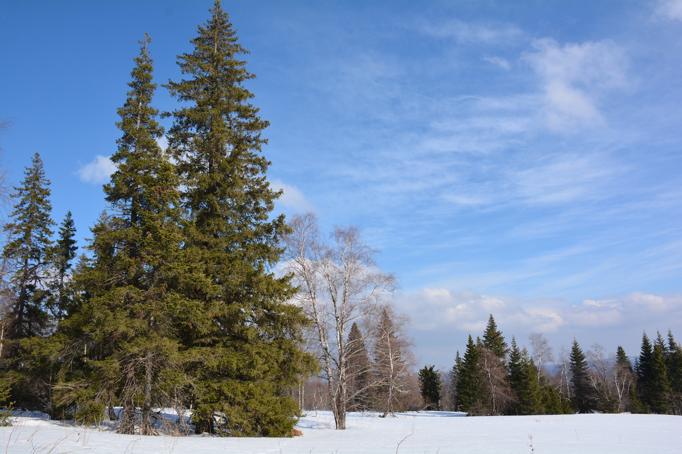 Der Hauch von Frühling.