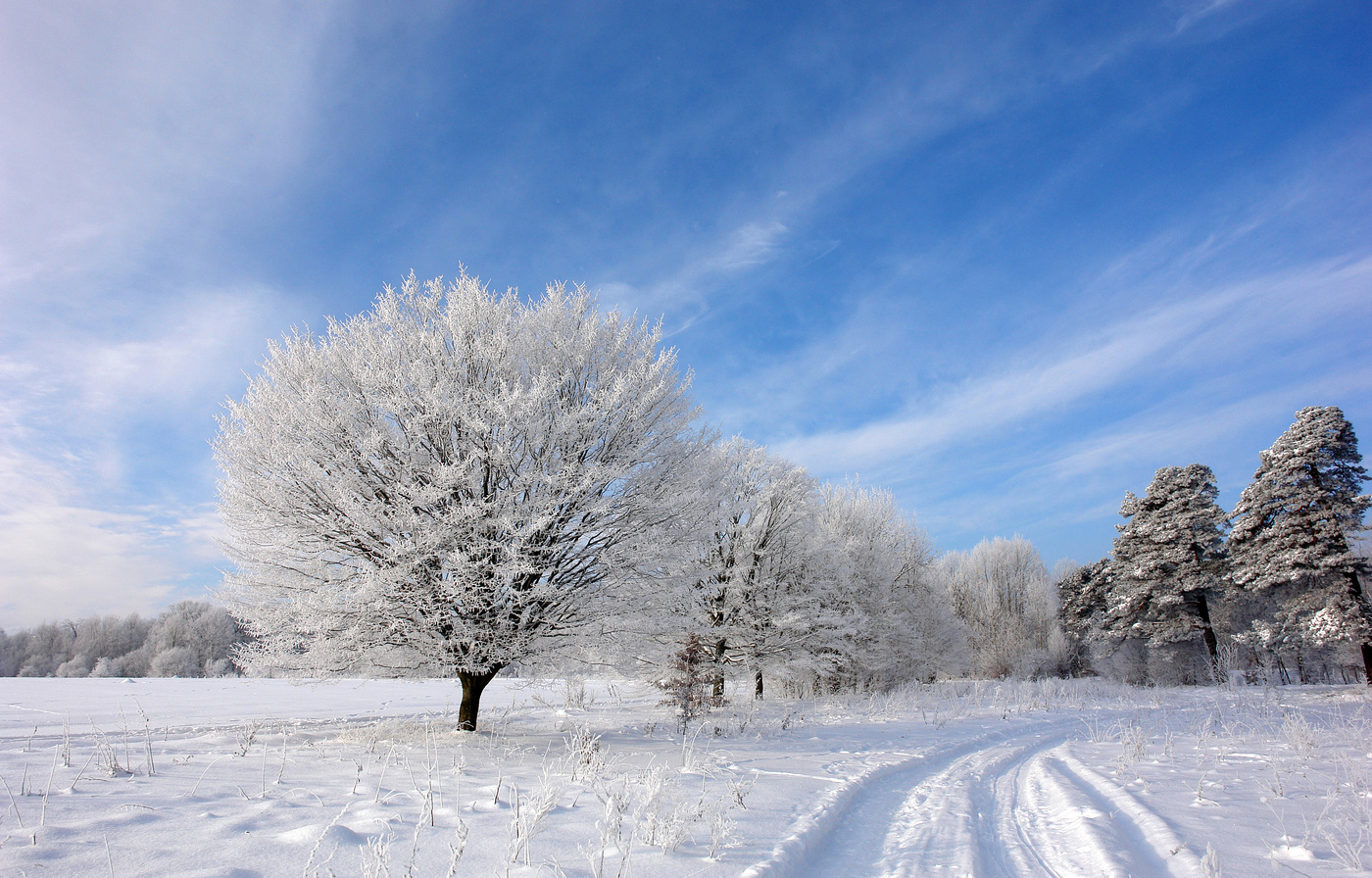 Sonnenaufgang über dem Fluss
