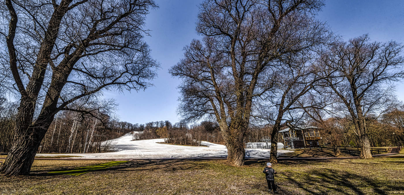 Wenn die Bäume waren groß.