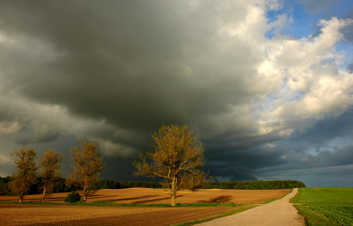 Vor dem Sturm