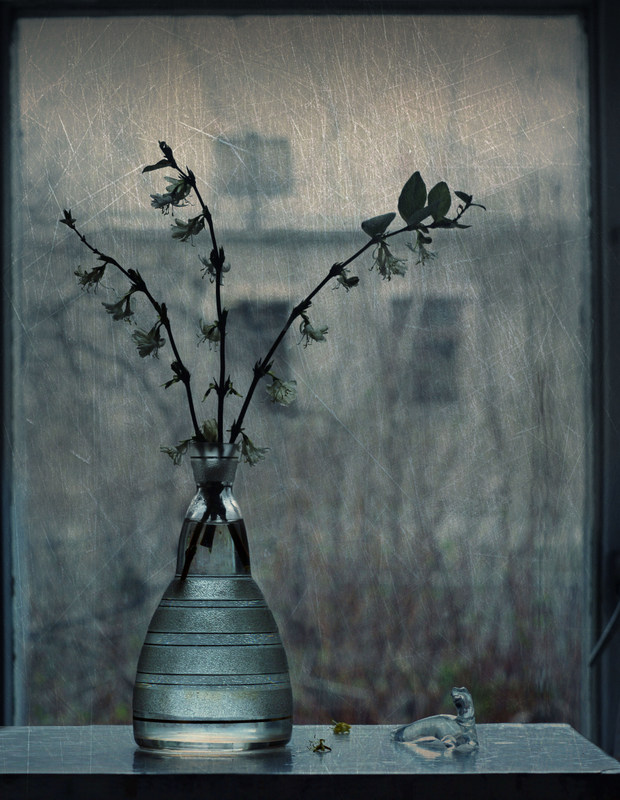 Premonition des Frühlings