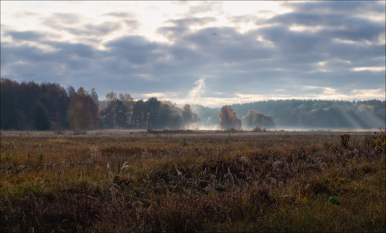Herbst-Landschaft