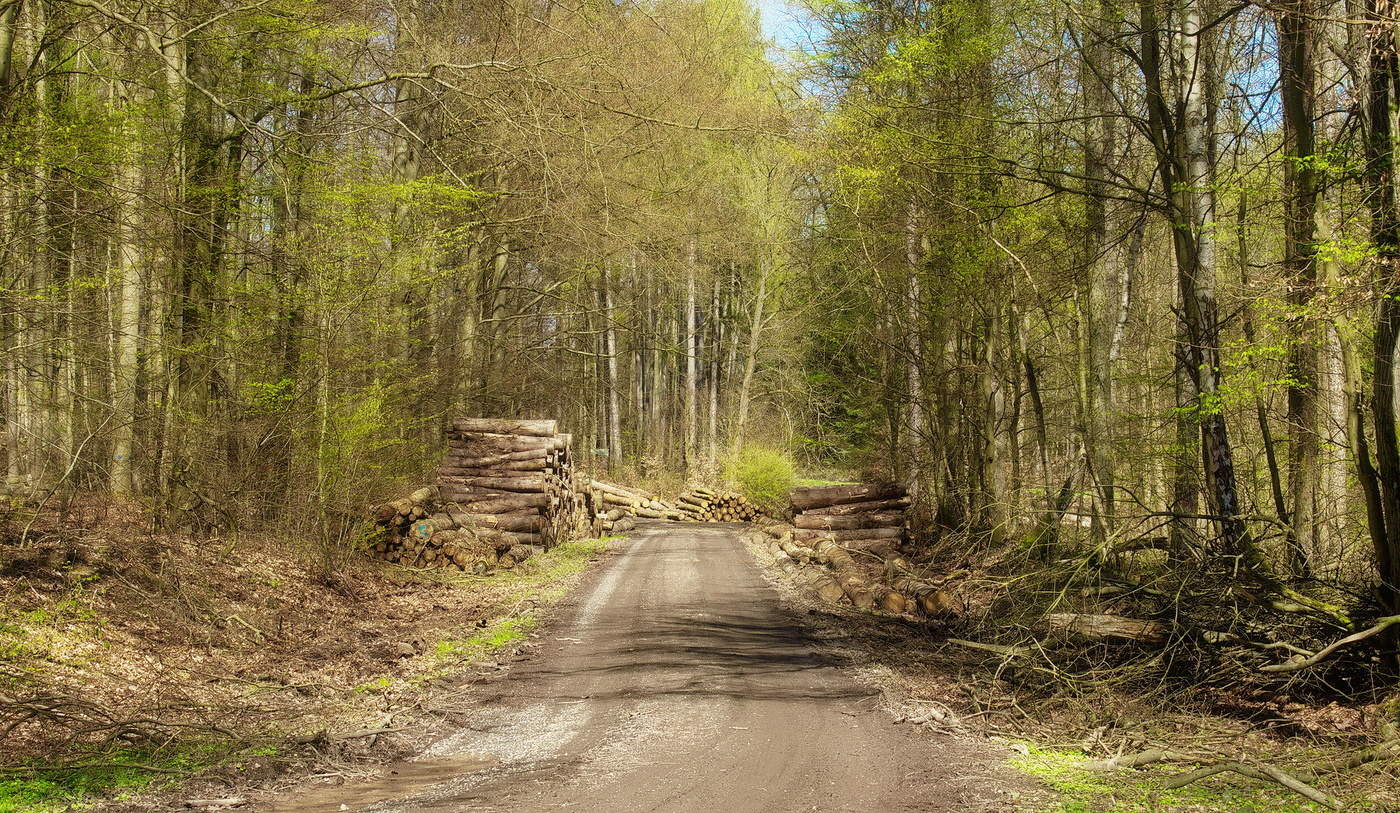 Frühling Hausarbeit