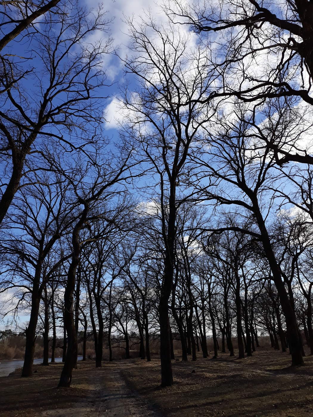 Die Luft ist sauber und transparent