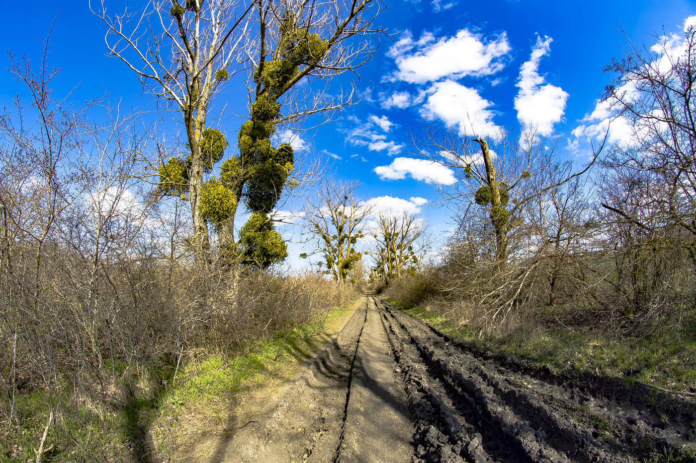Season of schlechten Straßen