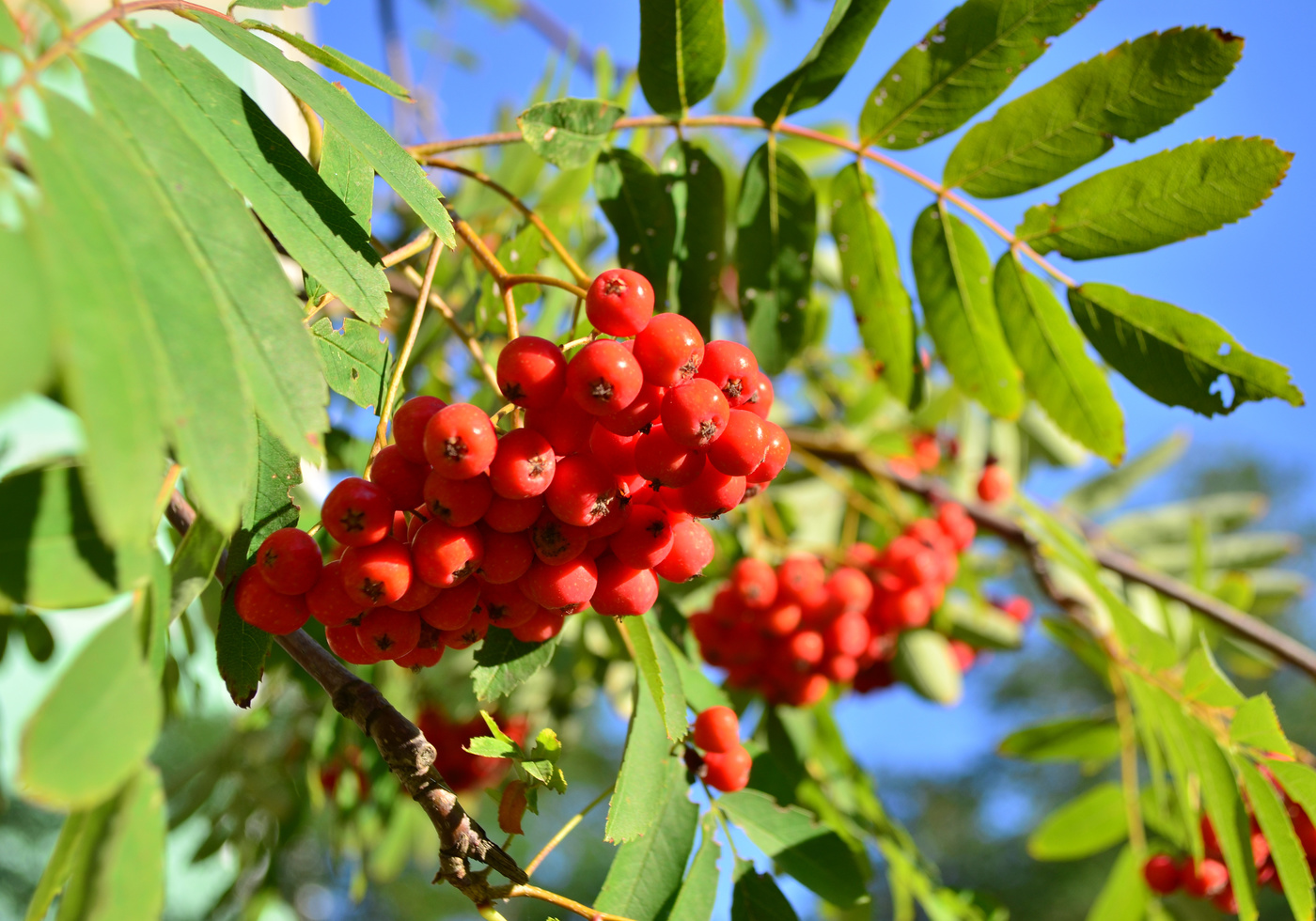 Die Erinnerung an den Herbst