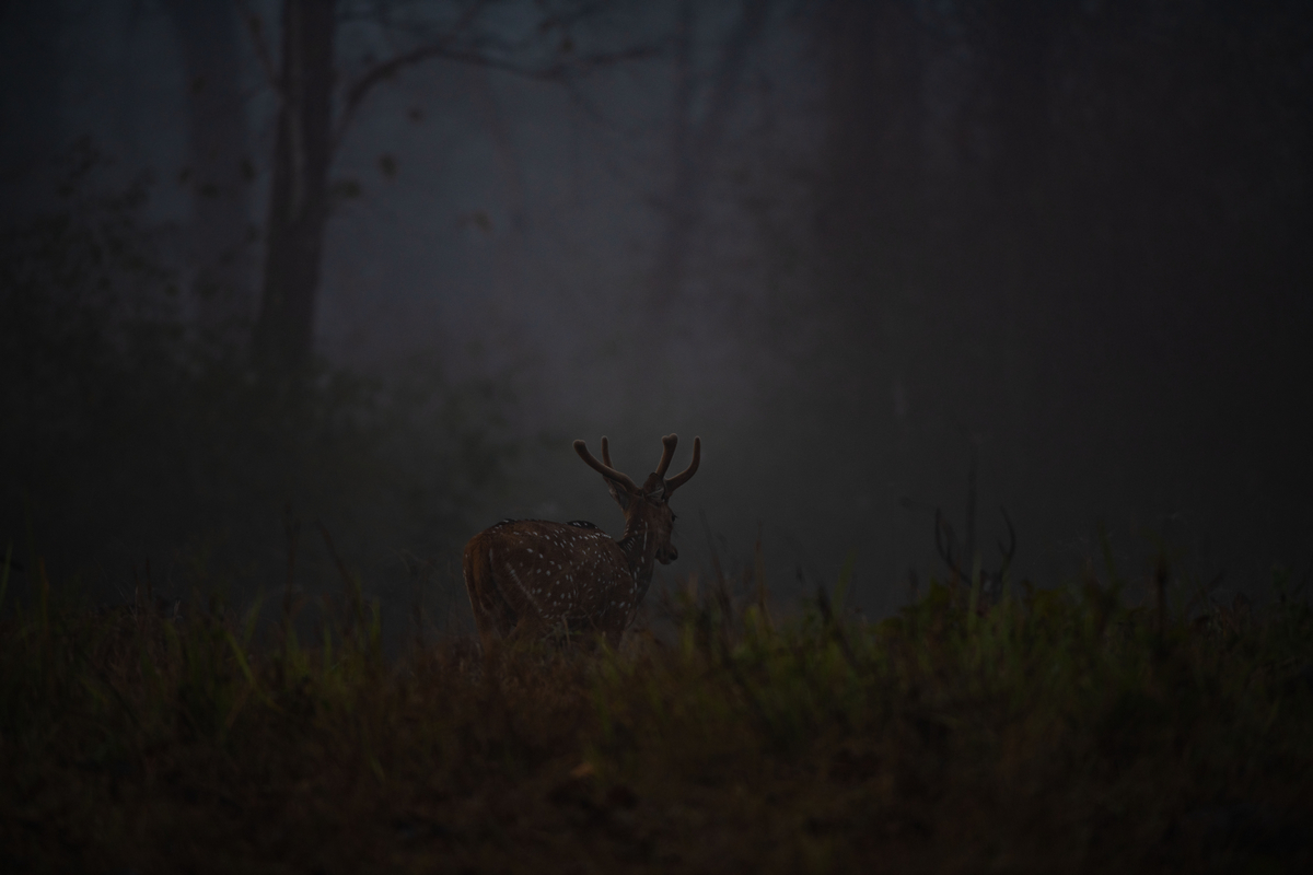 .........................