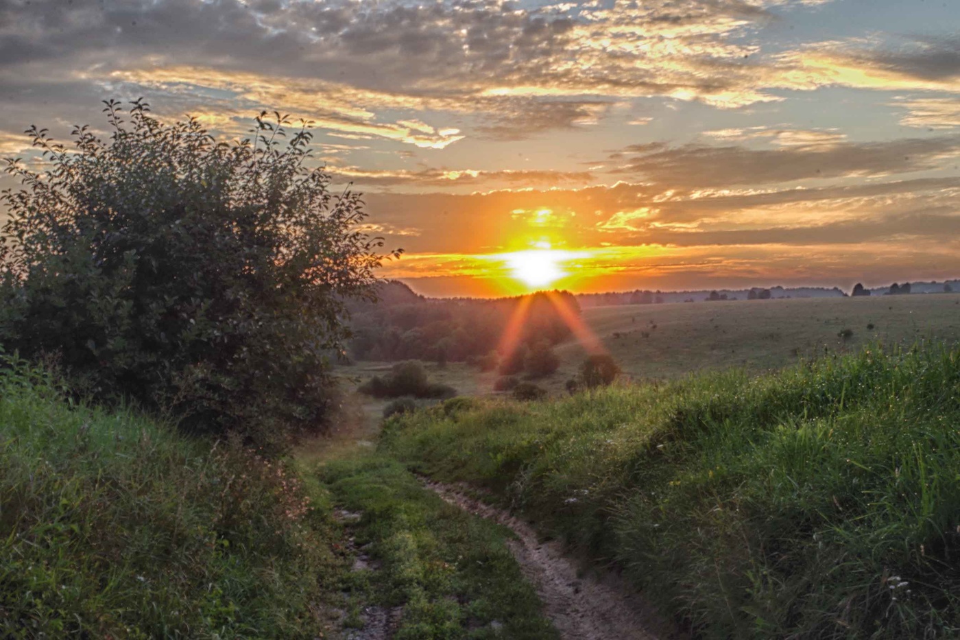 Die Sonne steigt ...