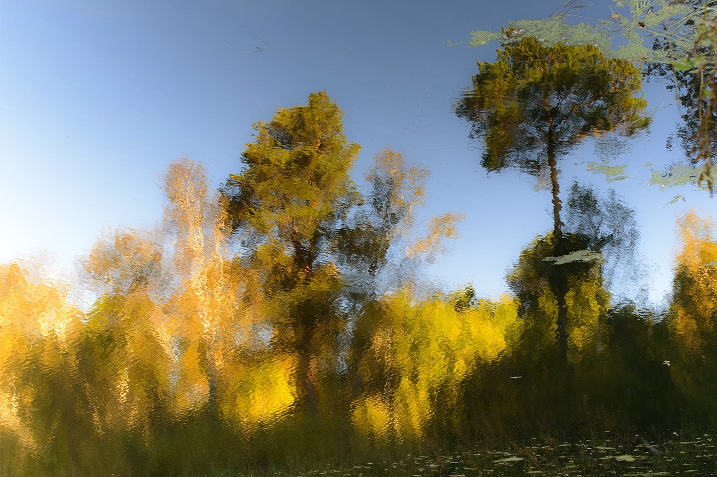 Reflexion der Herbst