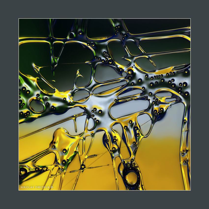 Plant. THE OPTICAL LIGHT'S ORCHESTRA