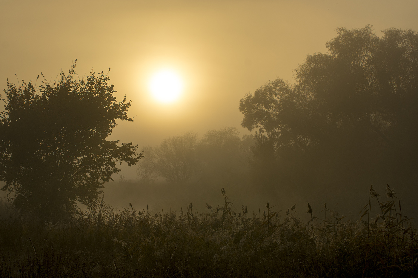 Herbst Morgendämmerung
