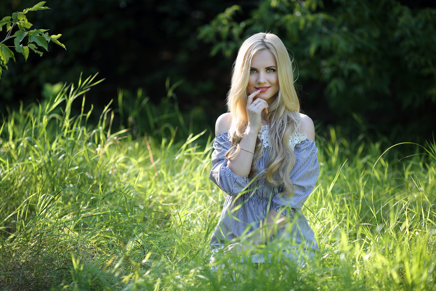 auf der sonnigen Wiese