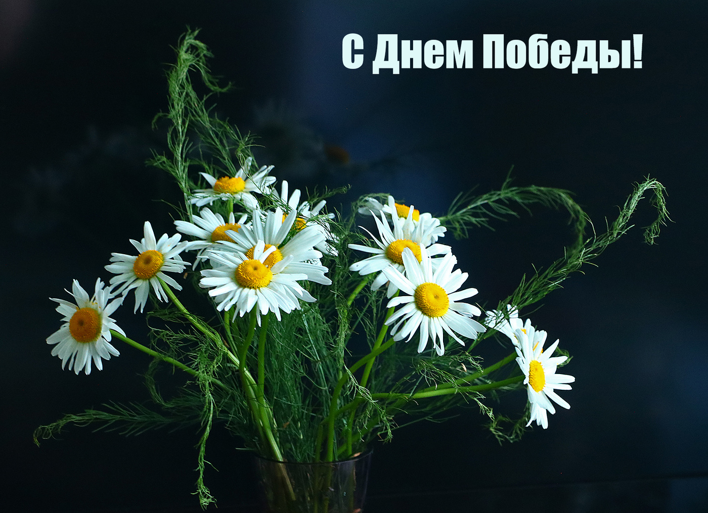 Glückliche Tag des Sieges!