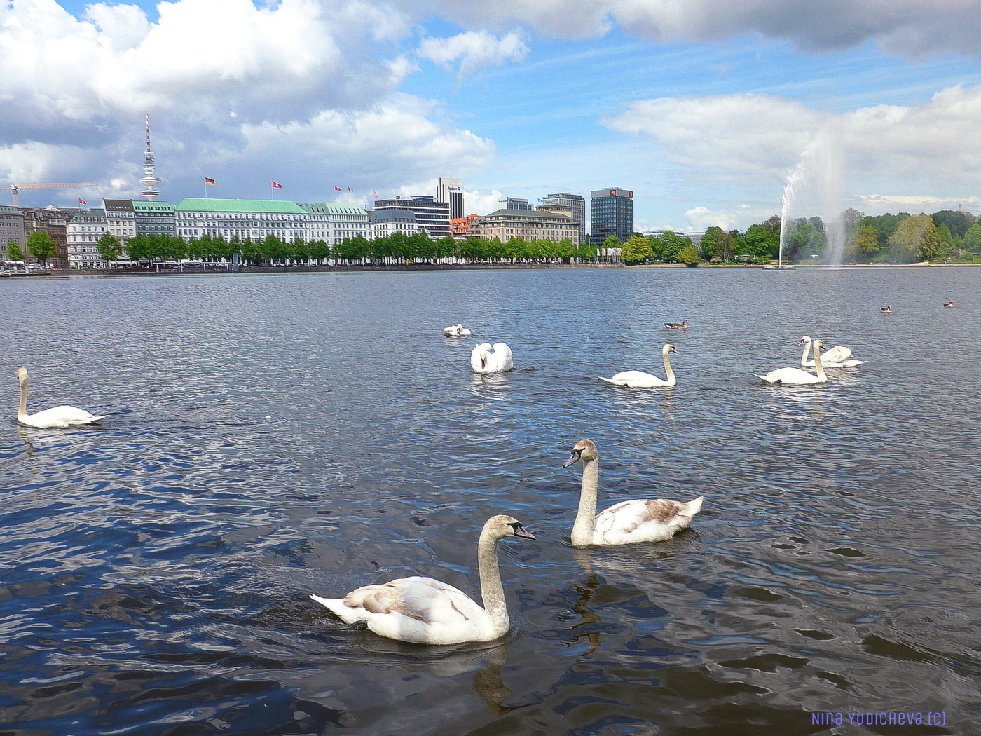 Alster Hamburg