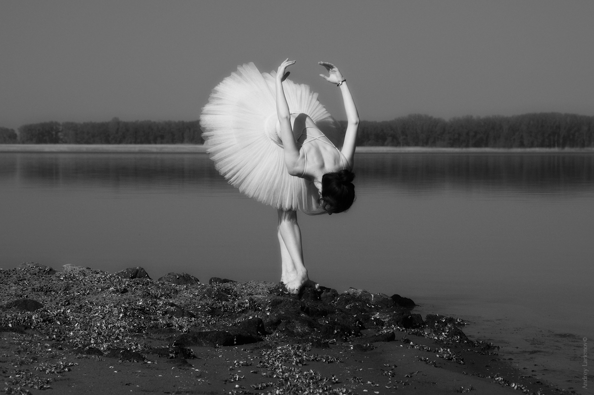 White Swan