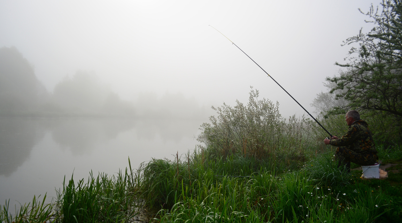 Morning fishing